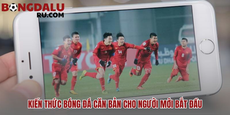 Kiến thức bóng đá nền tảng cho người xem và soi kèo